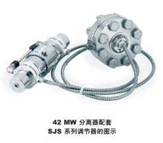 42MW  焊接隔板儀表分離器